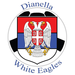 Dianella White Eagles