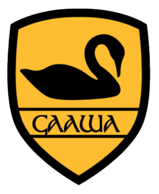Home club logo