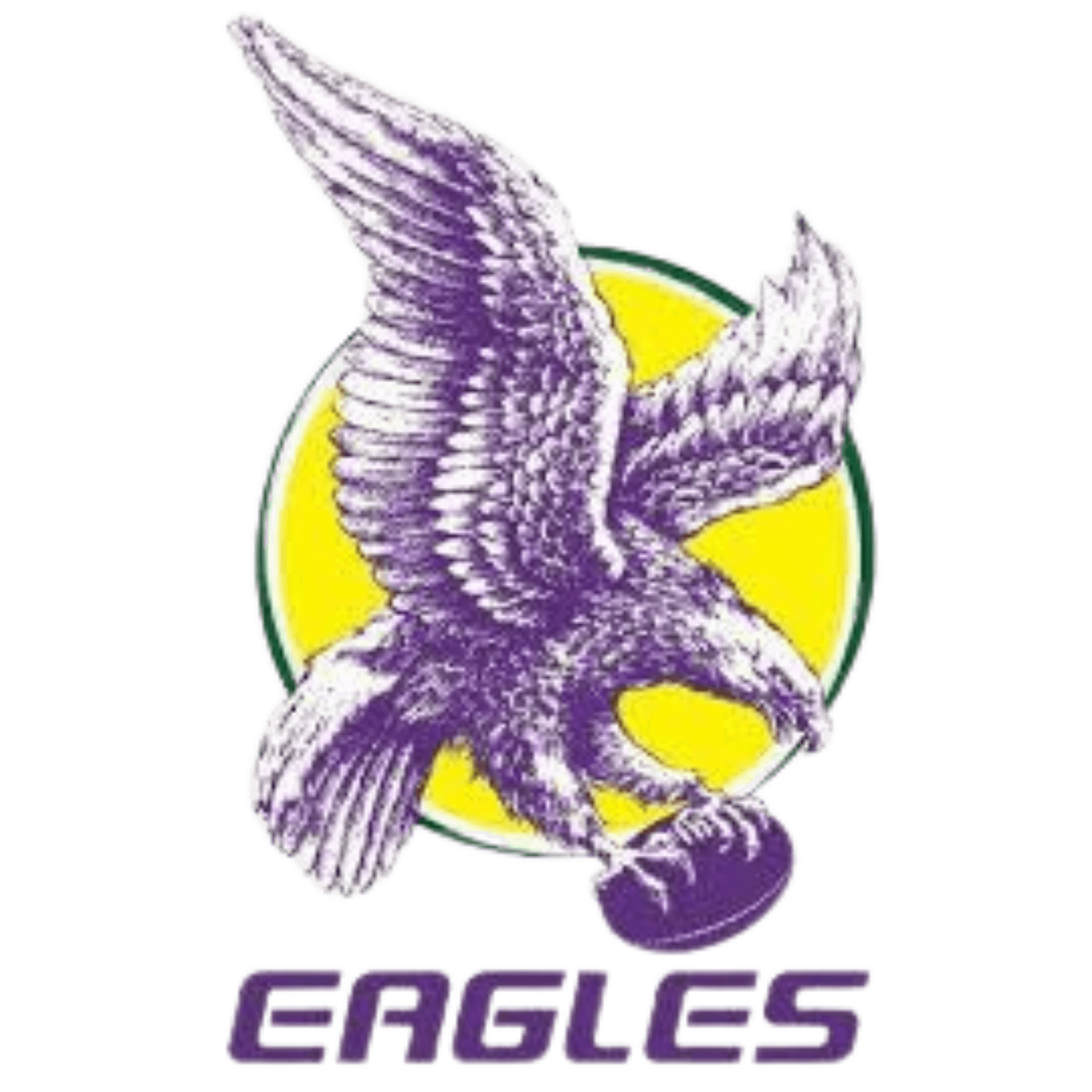 Home club logo