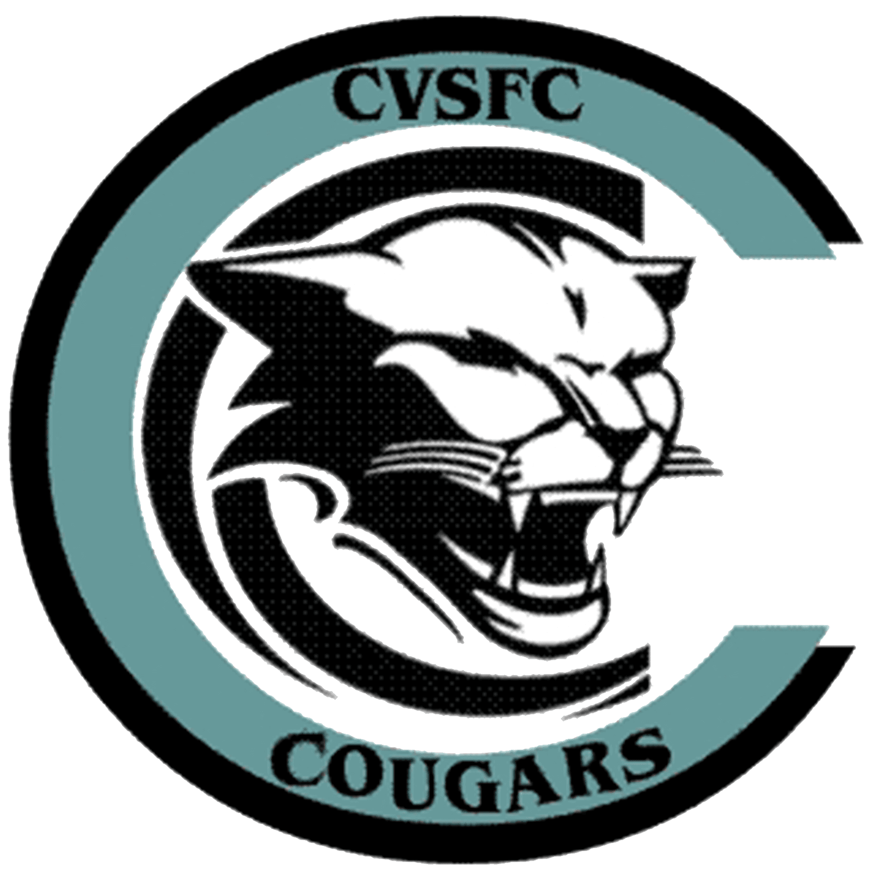 Away club logo
