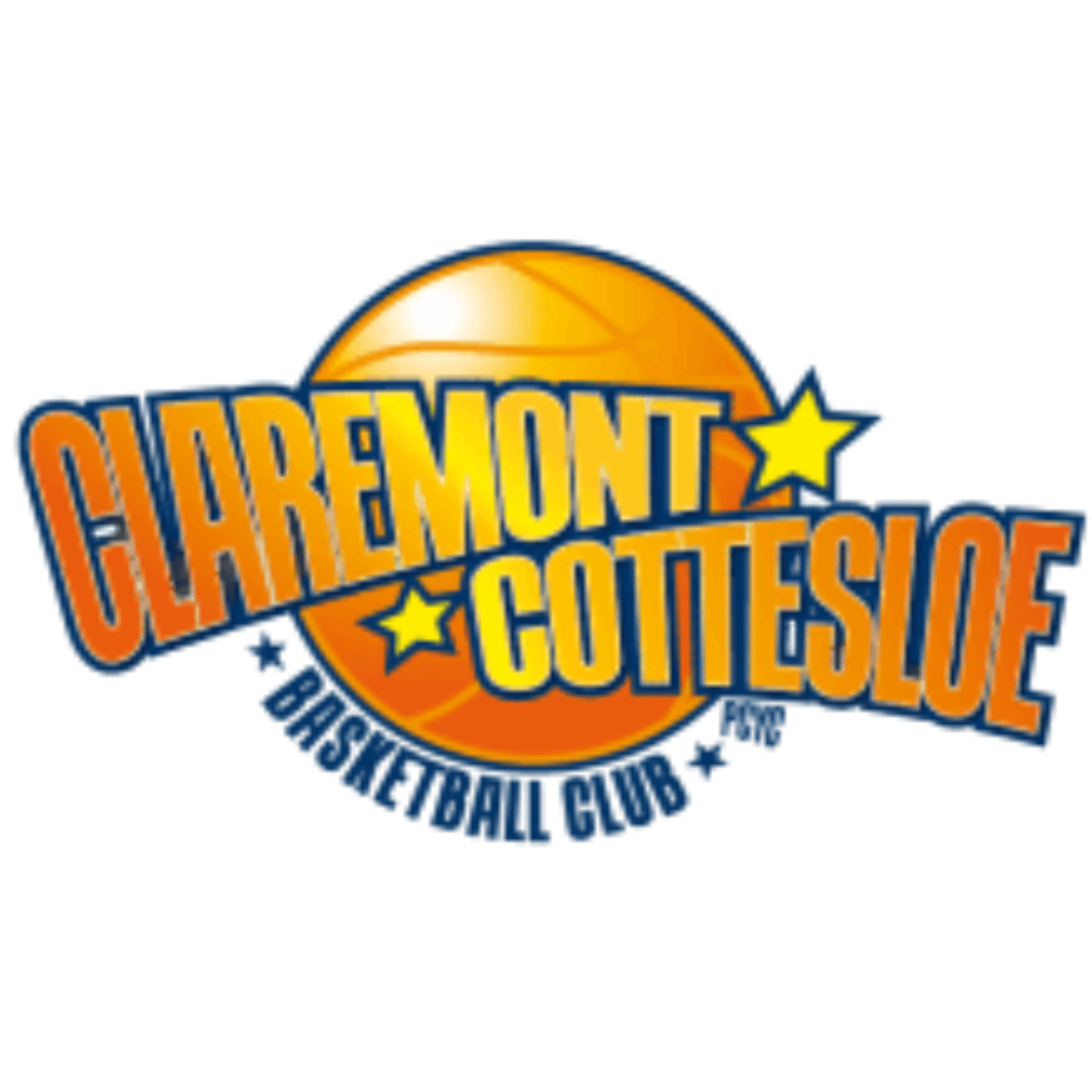 Home club logo