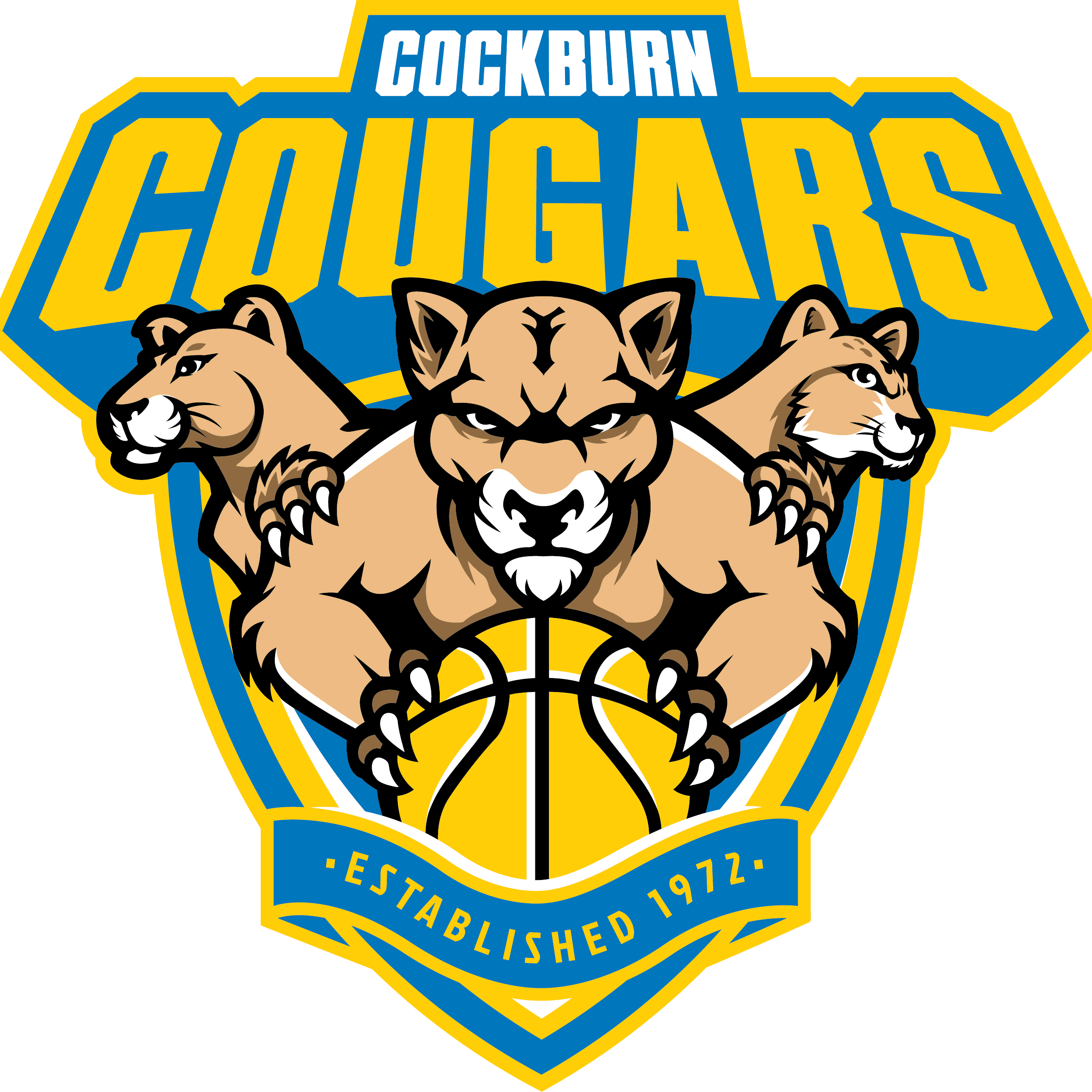 Replay: Replay: Cockburn Cougars vs Willetton Tigers (U12 Girls ...