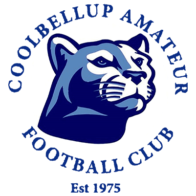 Home club logo