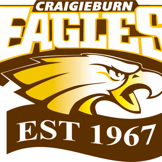 Home club logo