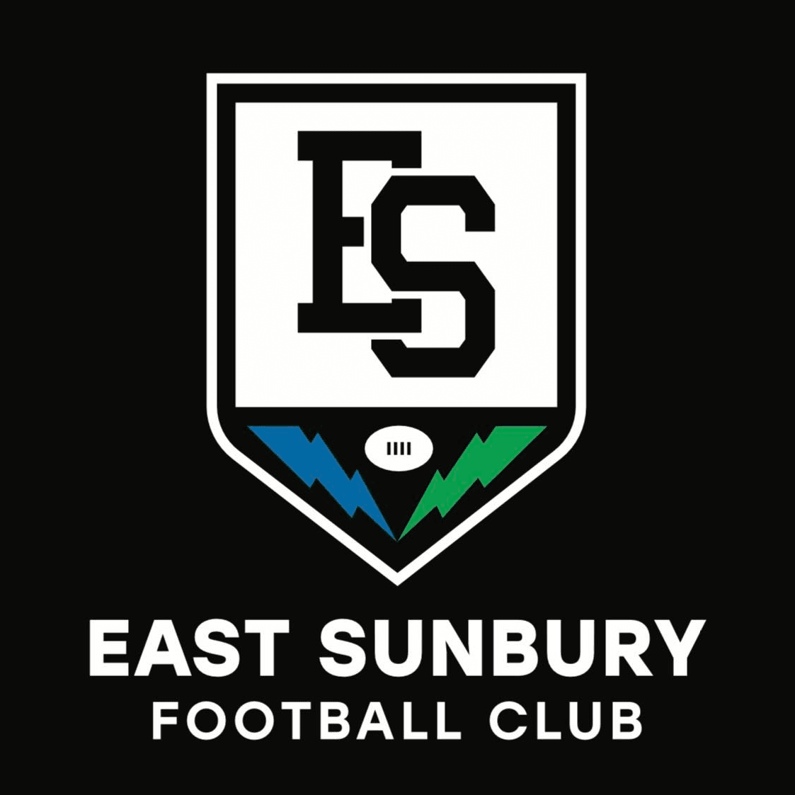Home club logo
