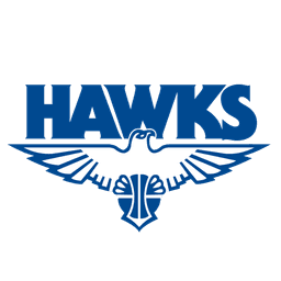 Hawks Basketball