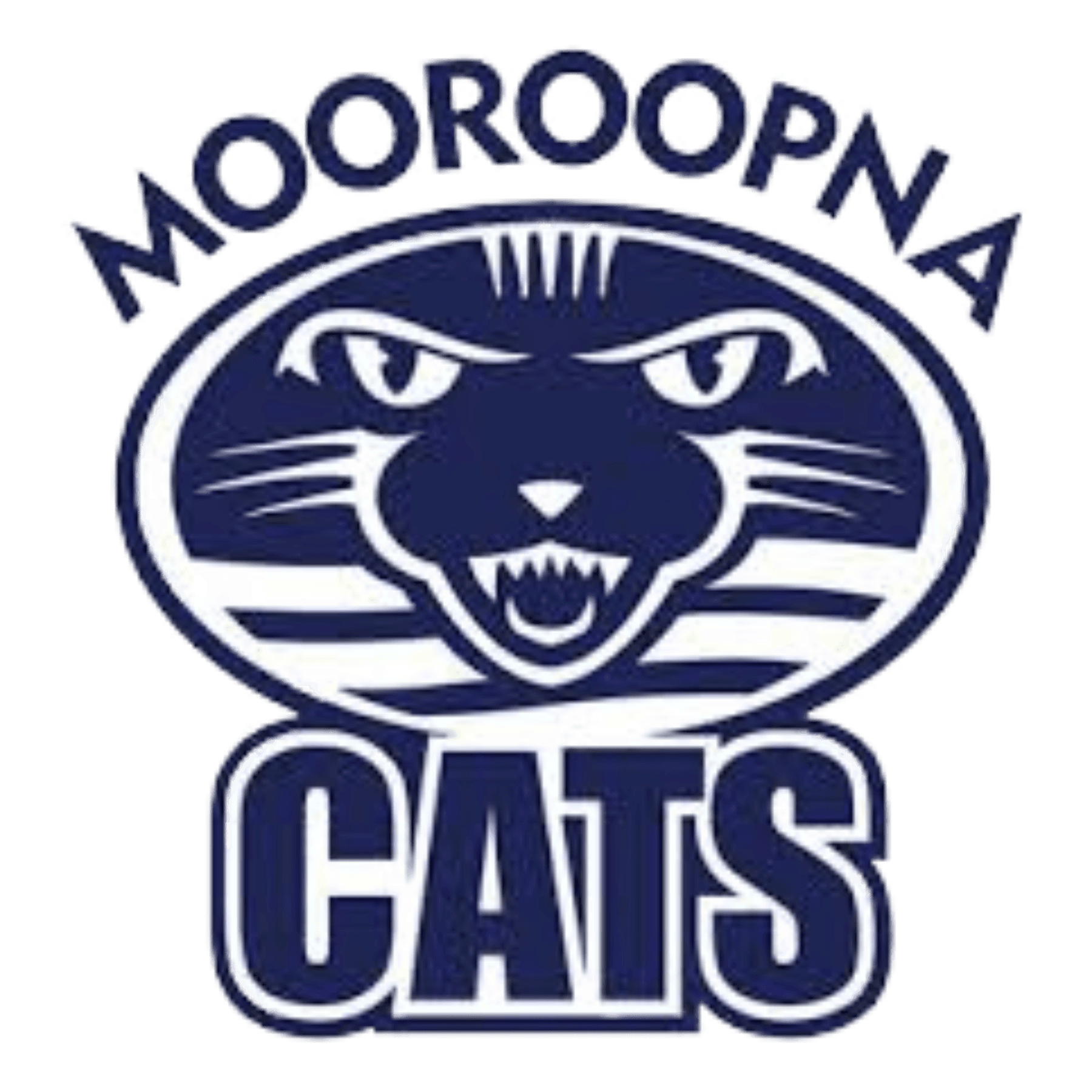 Replay: Rochester Tigers vs Mooroopna Cats (Round 6)