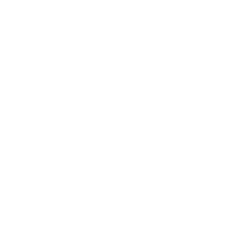 Perth Running Festival