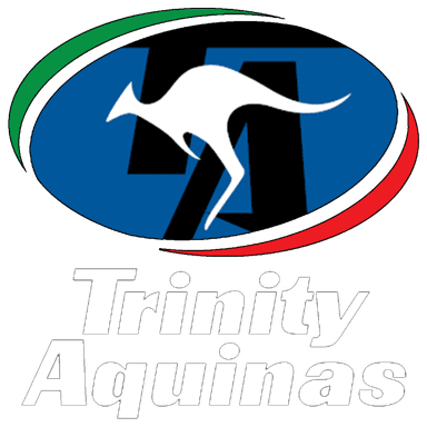 Trinity Aquinas 