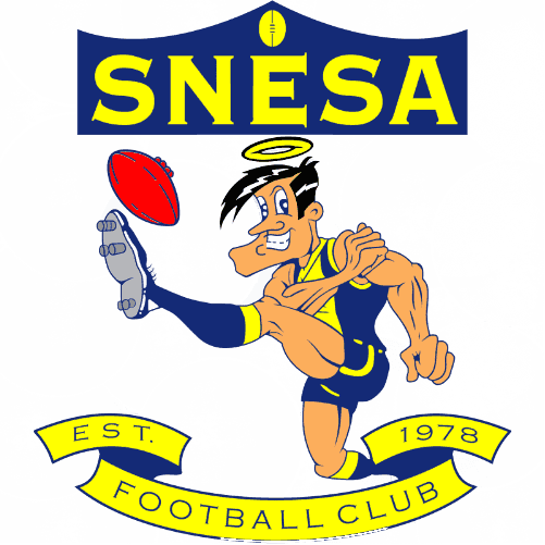 Home club logo