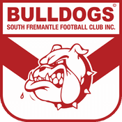 Home club logo