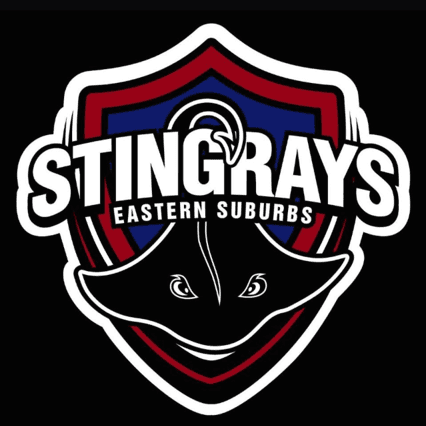 Home club logo