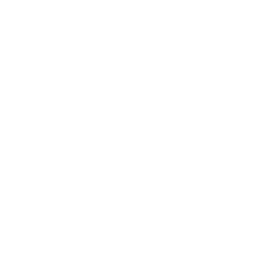 Taj's Small Fries