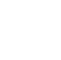 Bassendean Swans