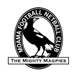 Home club logo