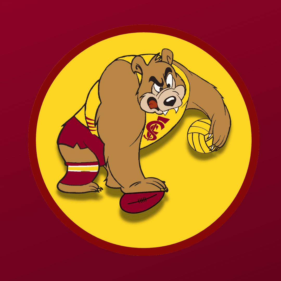 Home club logo